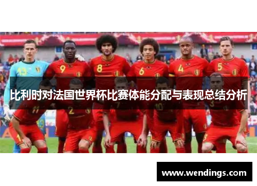 比利时对法国世界杯比赛体能分配与表现总结分析
