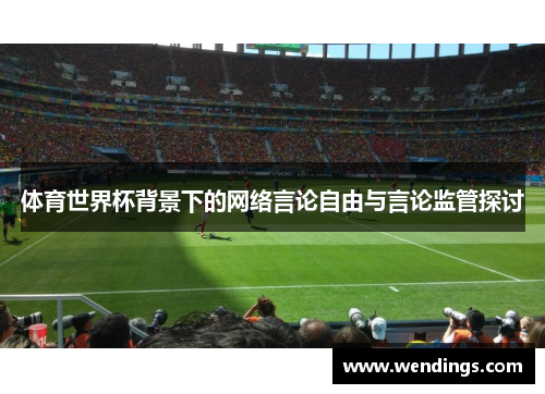 体育世界杯背景下的网络言论自由与言论监管探讨 体育世界杯背景下的网络言论自由与言论监管探讨