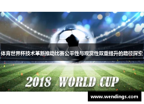 体育世界杯技术革新推动比赛公平性与观赏性双重提升的路径探索
