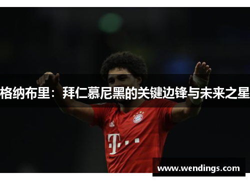 格纳布里:拜仁慕尼黑的关键边锋与未来之星 格纳布里:拜仁慕尼黑的关键边锋与未来之星