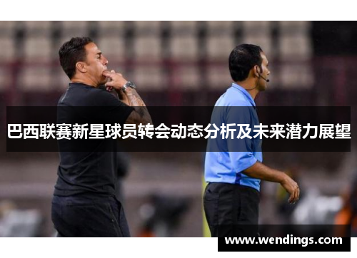 巴西联赛新星球员转会动态分析及未来潜力展望