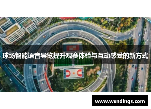 球场智能语音导览提升观赛体验与互动感受的新方式