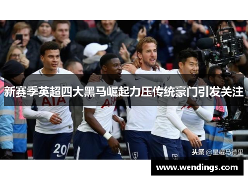 新赛季英超四大黑马崛起力压传统豪门引发关注 新赛季英超四大黑马崛起力压传统豪门引发关注