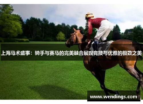 上海马术盛事:骑手与赛马的完美融合展现竞技与优雅的极致之美 上海马术盛事:骑手与赛马的完美融合展现竞技与优雅的极致之美