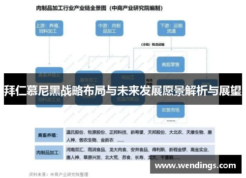 拜仁慕尼黑战略布局与未来发展愿景解析与展望 拜仁慕尼黑战略布局与未来发展愿景解析与展望