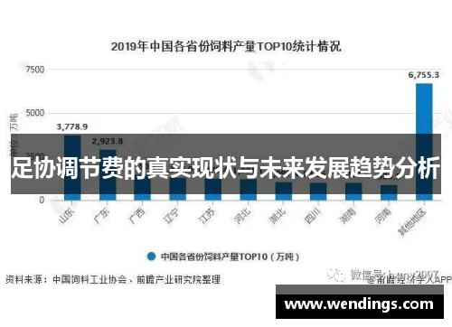 足协调节费的真实现状与未来发展趋势分析