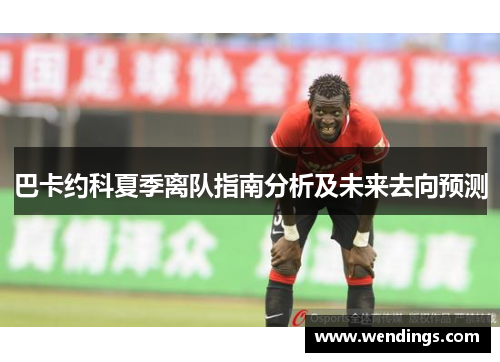 巴卡约科夏季离队指南分析及未来去向预测