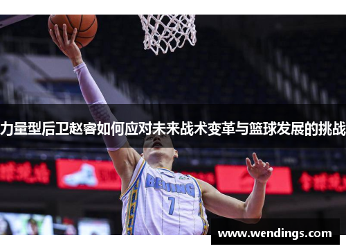 力量型后卫赵睿如何应对未来战术变革与篮球发展的挑战