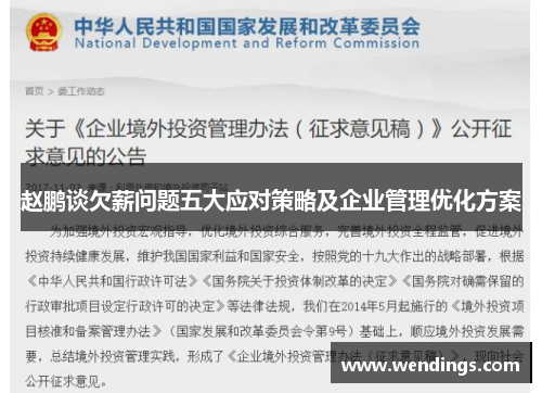 赵鹏谈欠薪问题五大应对策略及企业管理优化方案