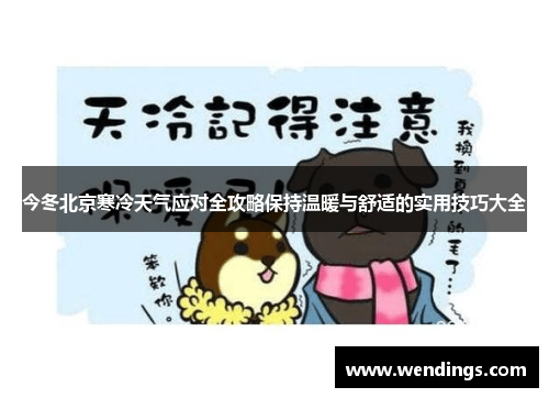 今冬北京寒冷天气应对全攻略保持温暖与舒适的实用技巧大全