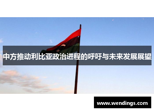 中方推动利比亚政治进程的呼吁与未来发展展望