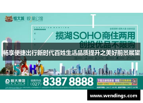 畅享便捷出行新时代百姓生活品质提升之美好前景展望
