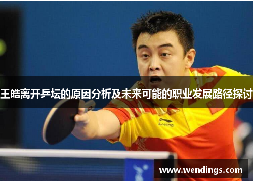 王皓离开乒坛的原因分析及未来可能的职业发展路径探讨 王皓离开乒坛的原因分析及未来可能的职业发展路径探讨