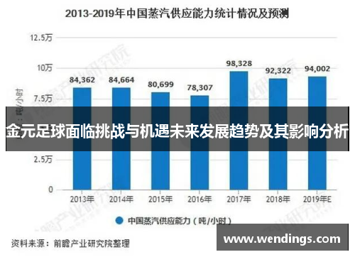 金元足球面临挑战与机遇未来发展趋势及其影响分析