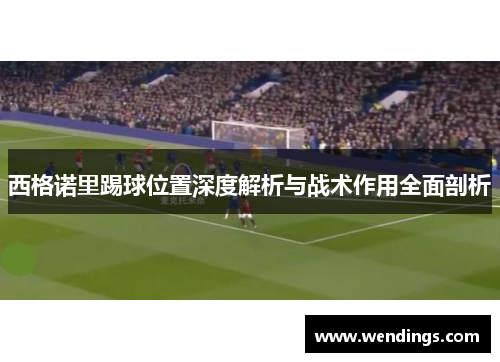 西格诺里踢球位置深度解析与战术作用全面剖析