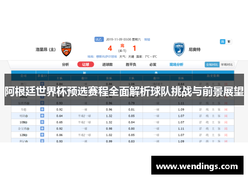 阿根廷世界杯预选赛程全面解析球队挑战与前景展望