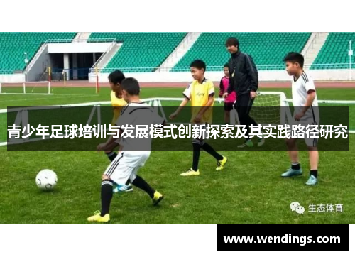 青少年足球培训与发展模式创新探索及其实践路径研究 青少年足球培训与发展模式创新探索及其实践路径研究
