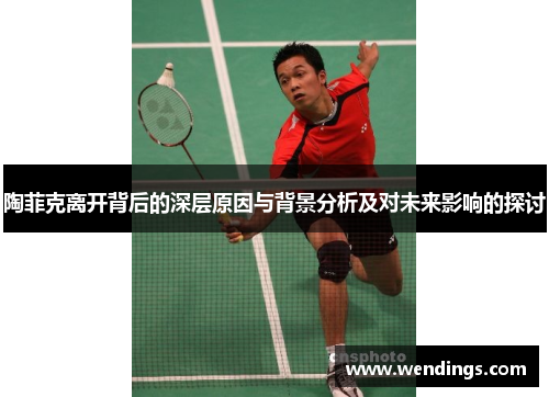 陶菲克离开背后的深层原因与背景分析及对未来影响的探讨