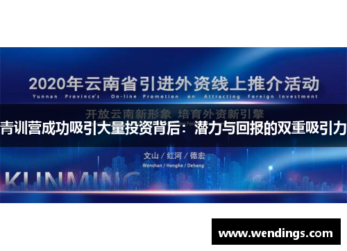 青训营成功吸引大量投资背后：潜力与回报的双重吸引力