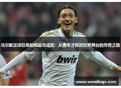 马尔默足球巨星的崛起与成就:从青年才俊到世界舞台的传奇之路 马尔默足球巨星的崛起与成就:从青年才俊到世界舞台的传奇之路