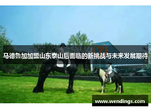 马德鲁加加盟山东泰山后面临的新挑战与未来发展期待 马德鲁加加盟山东泰山后面临的新挑战与未来发展期待