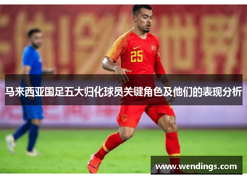 马来西亚国足五大归化球员关键角色及他们的表现分析