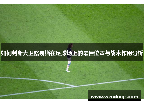 如何判断大卫路易斯在足球场上的最佳位置与战术作用分析