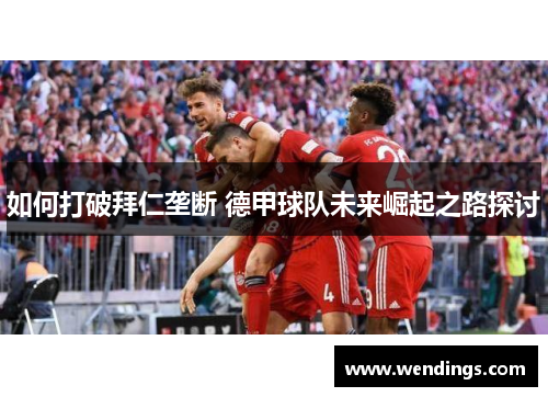 如何打破拜仁垄断 德甲球队未来崛起之路探讨