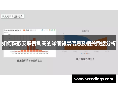 如何获取安联赞助商的详细背景信息及相关数据分析