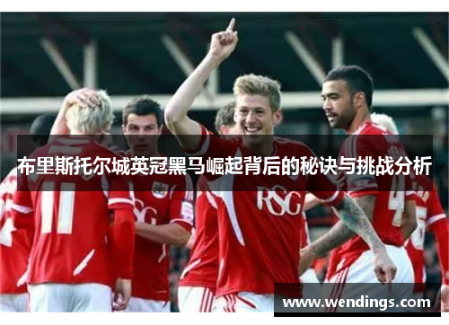 布里斯托尔城英冠黑马崛起背后的秘诀与挑战分析